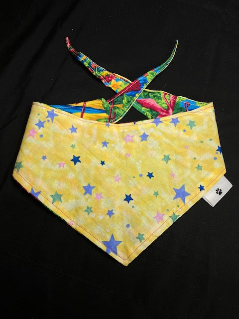 Bright Flamingos - M