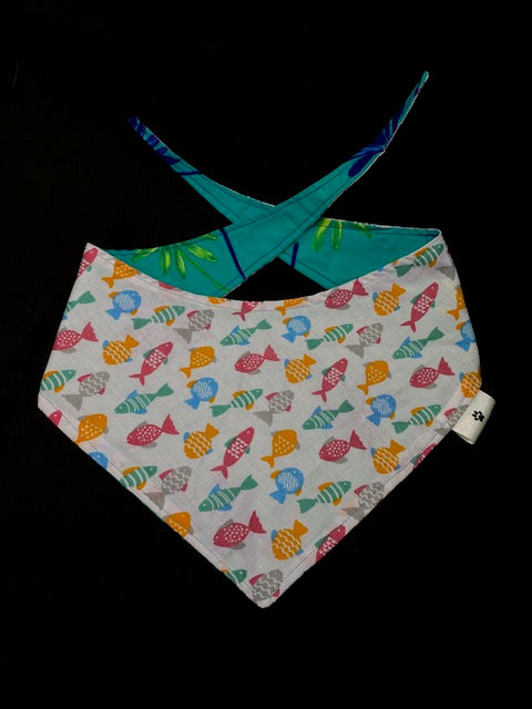 Colourful Fish - L