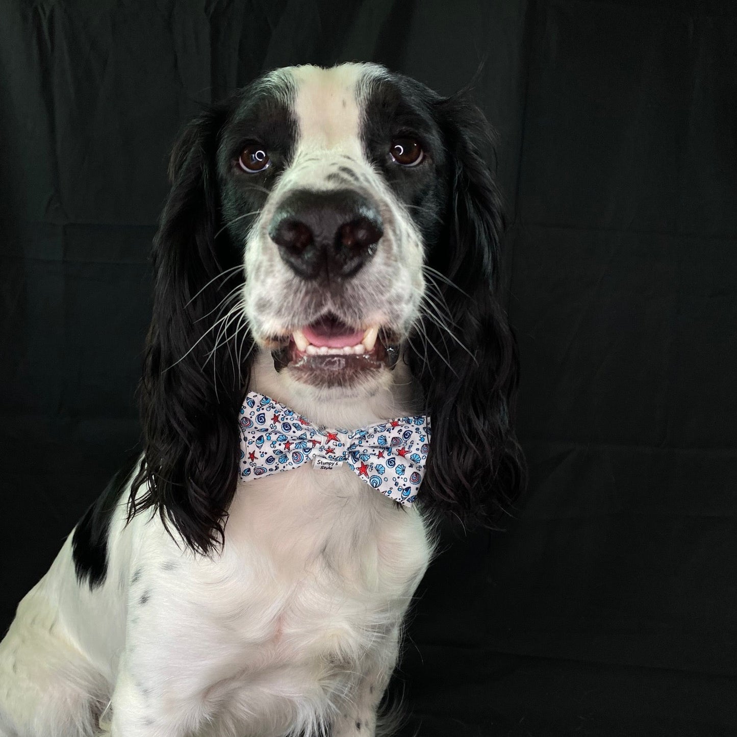 Bow Bundle - Valentine's