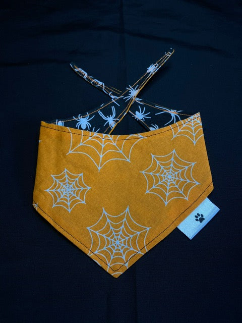 Spiders - XS