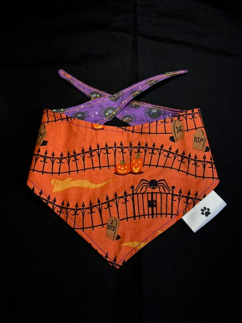 Purple Spiders - XS