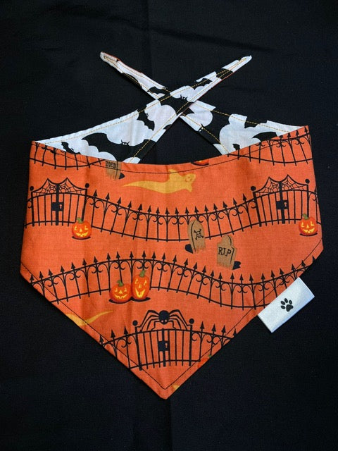 Bats - S