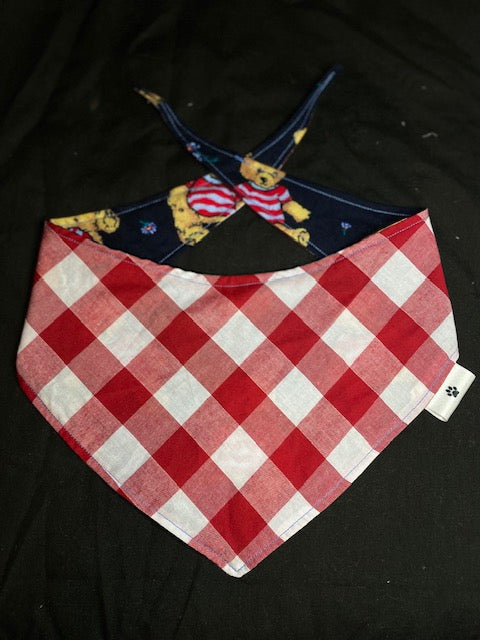 Teddy Bear Picnic - L