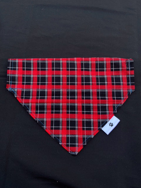 Sail Boat - M/L