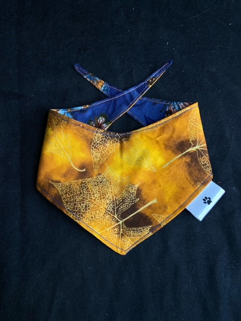 Blue Butterflies - XS