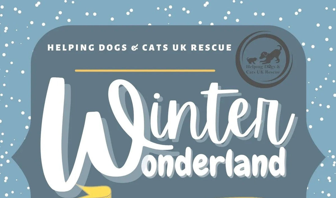 Winter Wonderland - 19th December