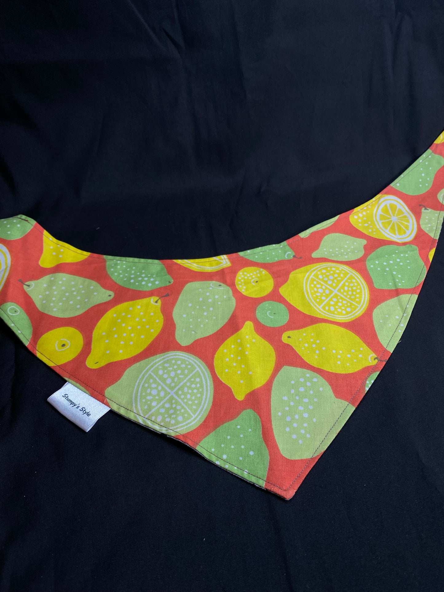 Lemons & Limes Bandana