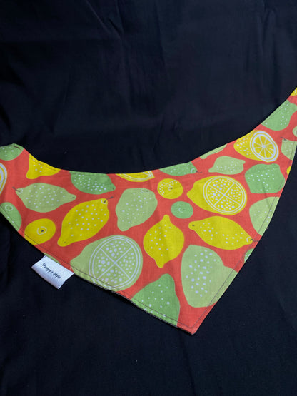 Lemons & Limes Bandana