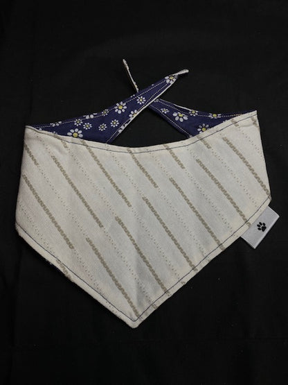 Blue Daisy's - S