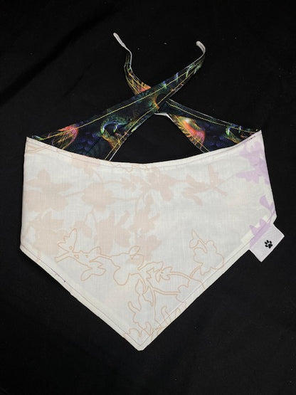 Bright Peacock Feathers  - M