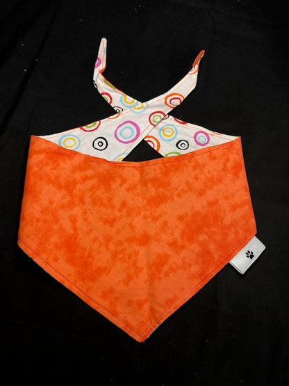 Colourful Orange Circles  - M