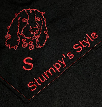 Custom Accessories as Discussed