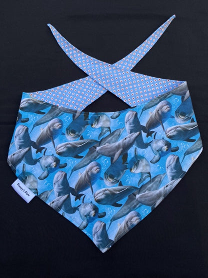 Dolphin - L