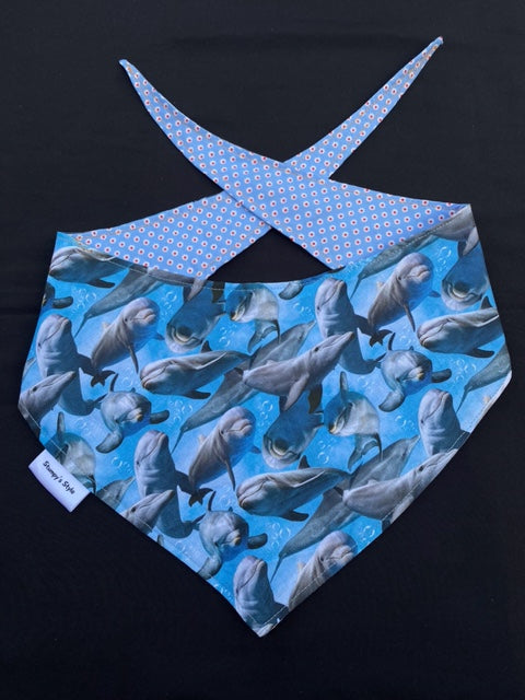 Dolphin - L