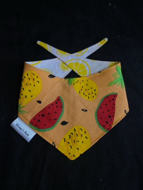 Watermelon & lemons - XS